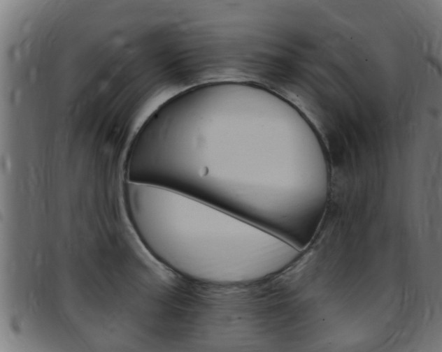 X0000097791187200803070928