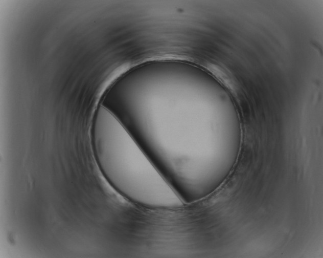 X0000097791189200803070928
