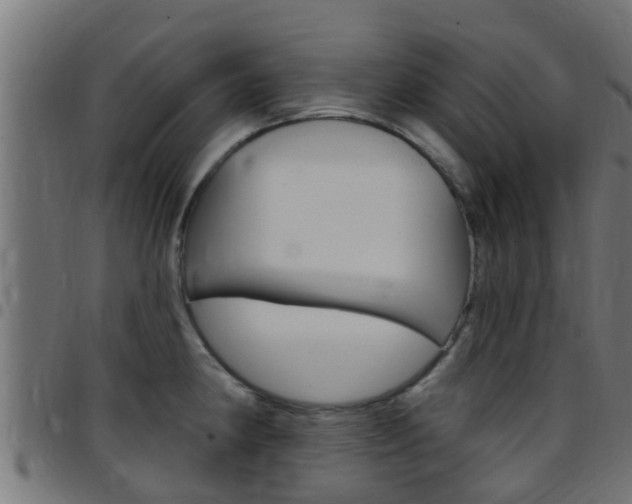 X0000097791190200803070928