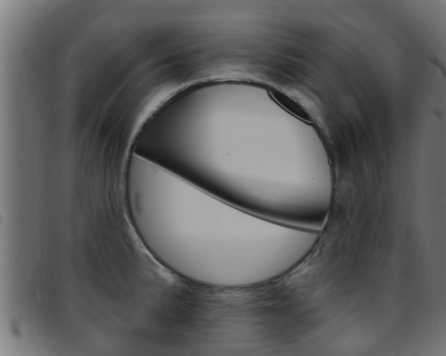 X0000097791191200803070928