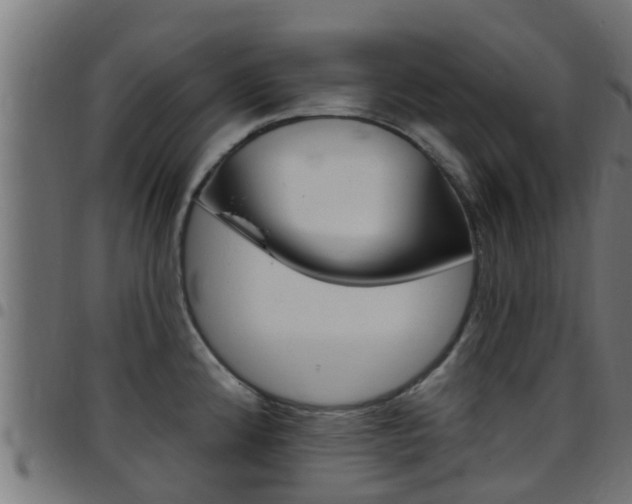 X0000097791192200803070928