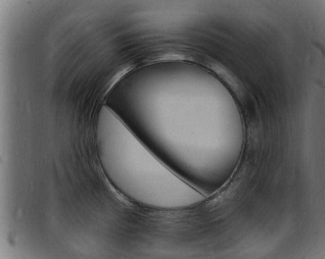 X0000097791193200803070928