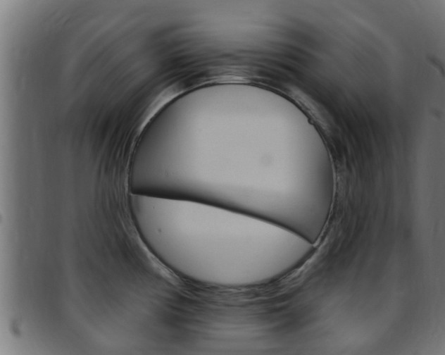 X0000097791194200803070928