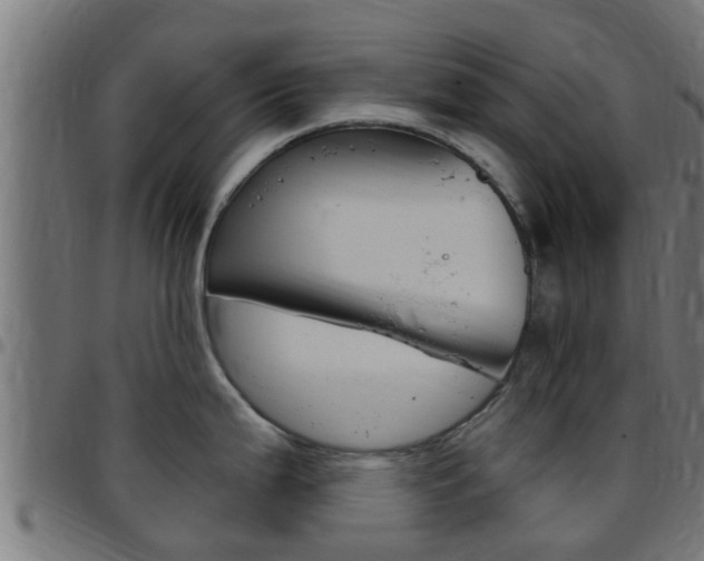 X0000097791199200803070928