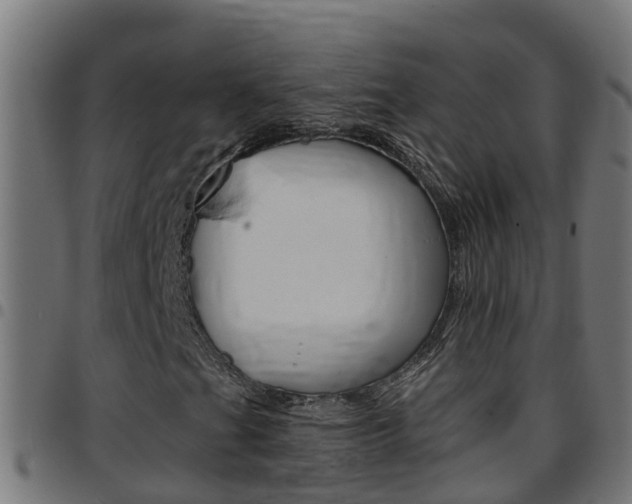 X0000097791201200803070927