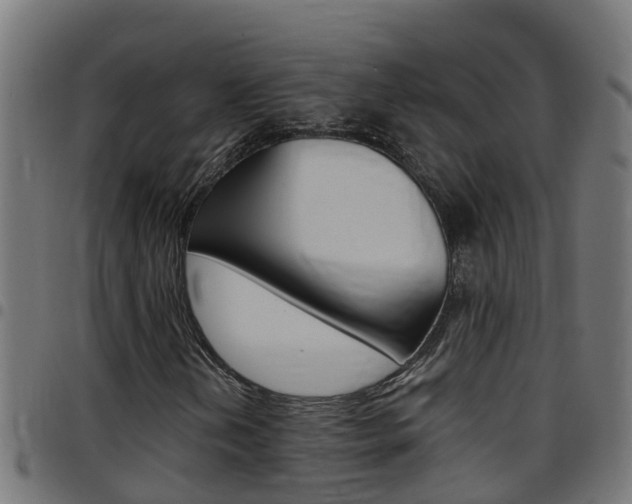 X0000097791202200803070927