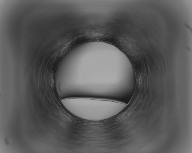 X0000097791204200803070927