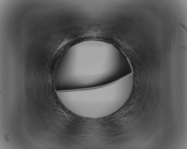X0000097791206200803070928