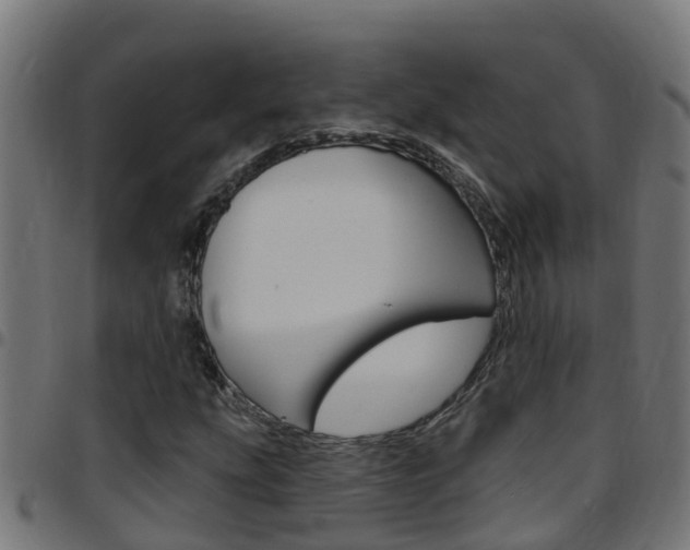X0000097791207200803070928