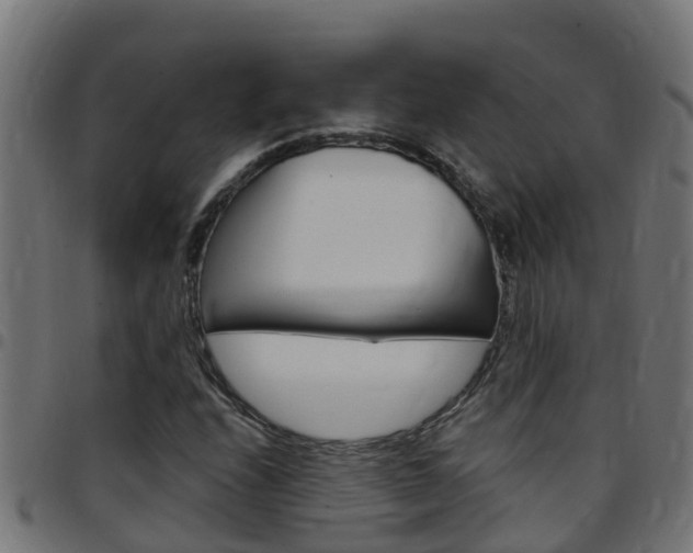 X0000097791208200803070928