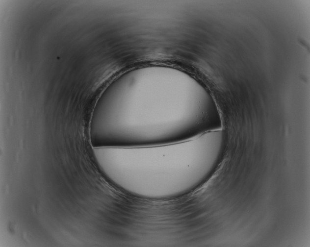 X0000097791209200803070928
