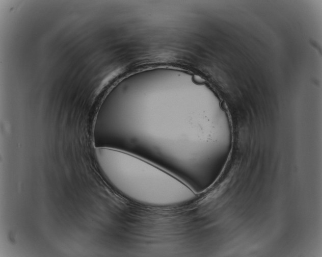 X0000097791210200803070928