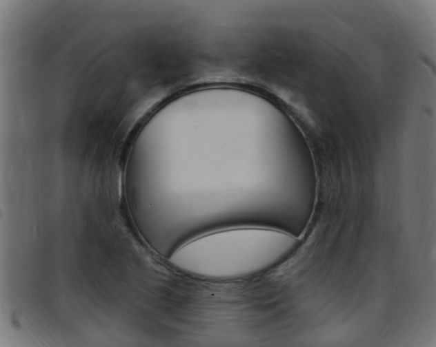 X0000097791221200803070928