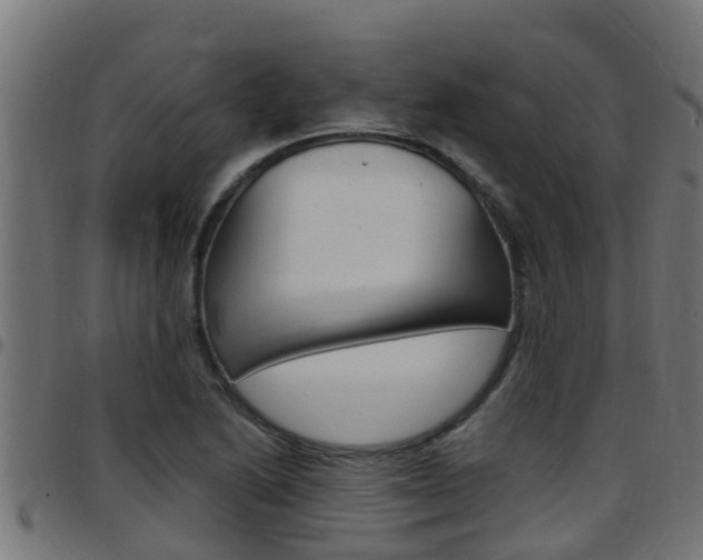 X0000097791222200803070928