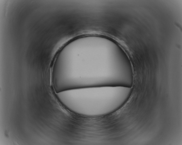 X0000097791223200803070928