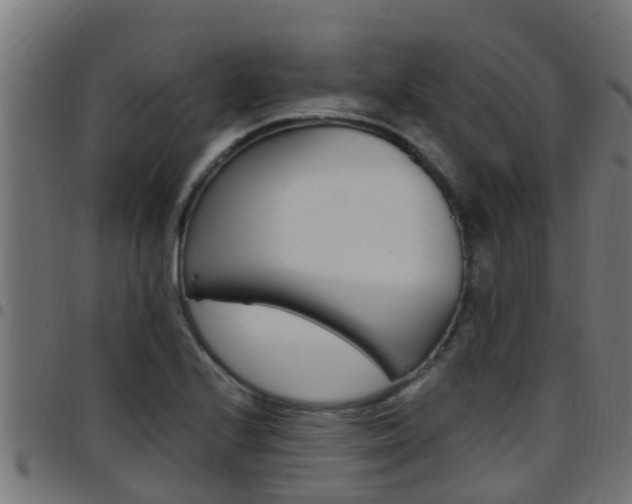 X0000097791224200803070928