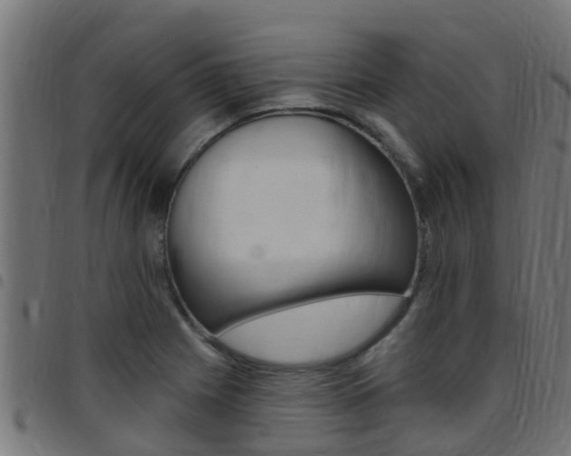 X0000097791225200803070928