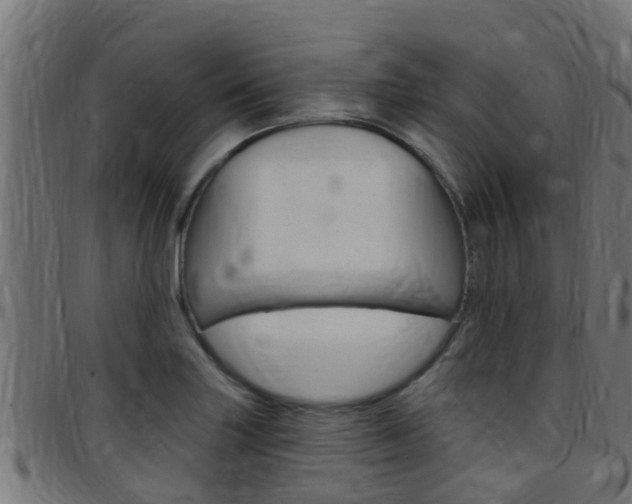 X0000097791227200803070928