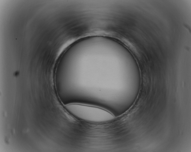 X0000097791230200803070928