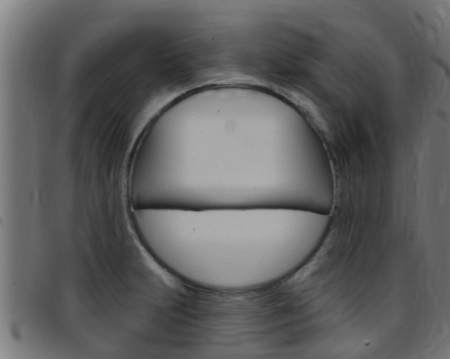 X0000097791231200803070928