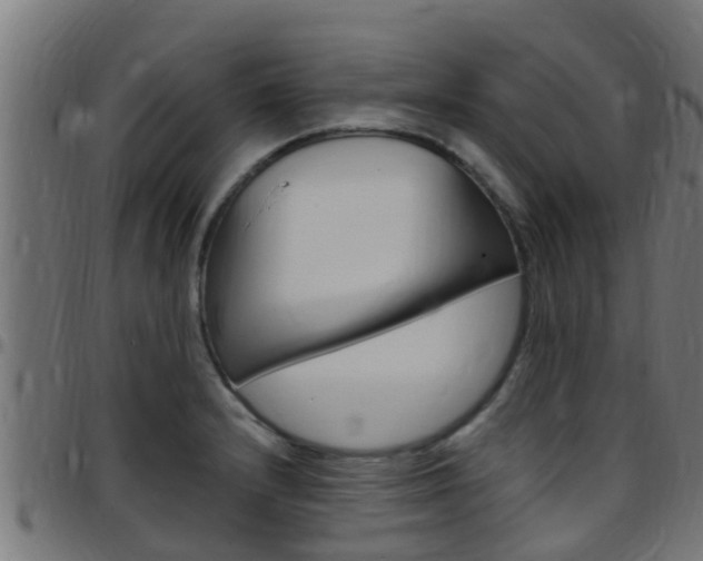 X0000097791232200803070928