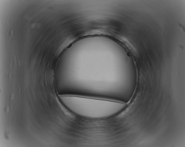 X0000097791233200803070928