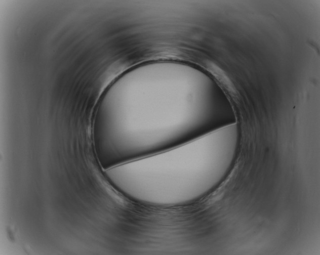 X0000097791234200803070928