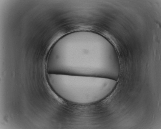 X0000097791235200803070928