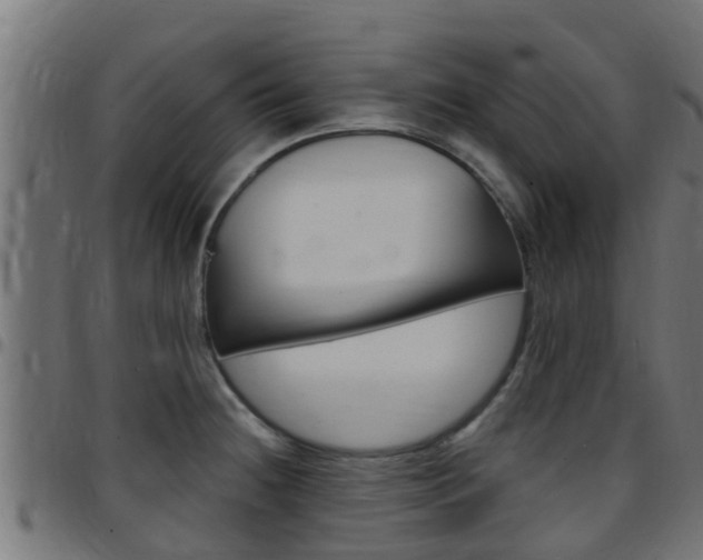 X0000097791236200803070928