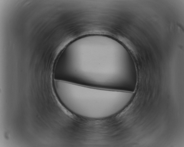 X0000097791237200803070928