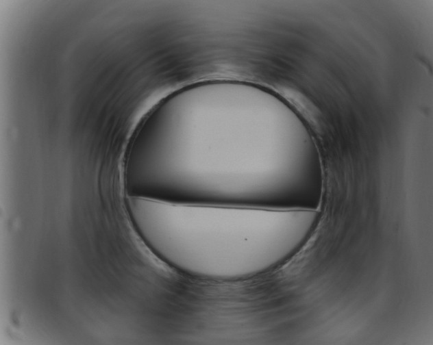 X0000097791238200803070928