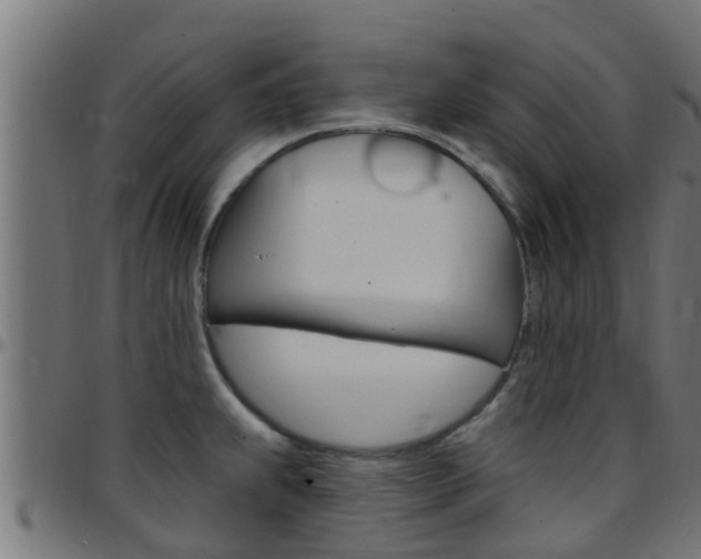 X0000097791239200803070928
