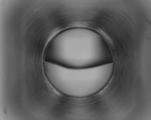 X0000097791240200803070928