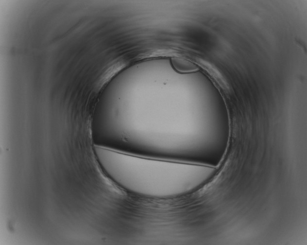 X0000097791241200803070928