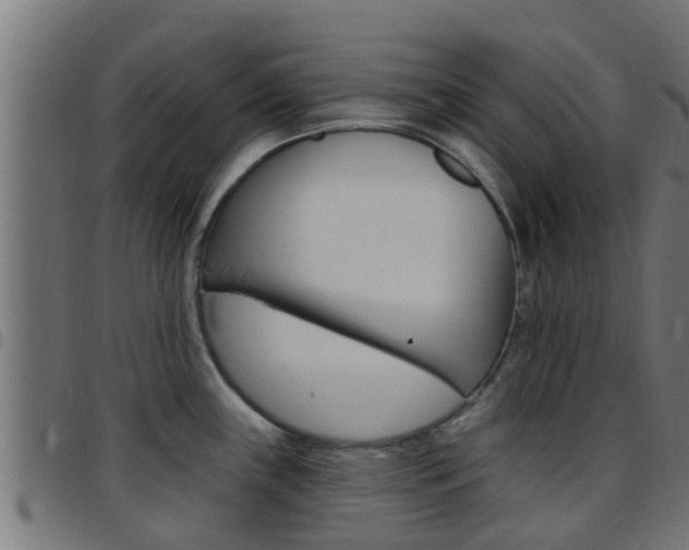 X0000097791243200803070928