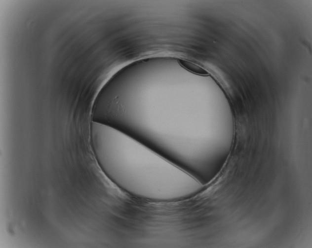 X0000097791244200803070928
