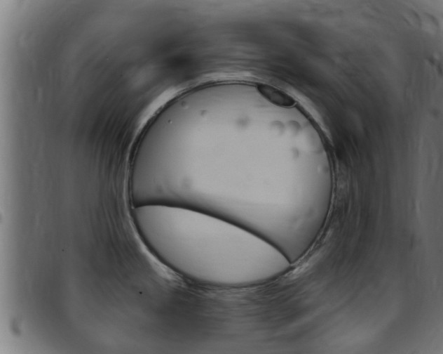 X0000097791245200803070928