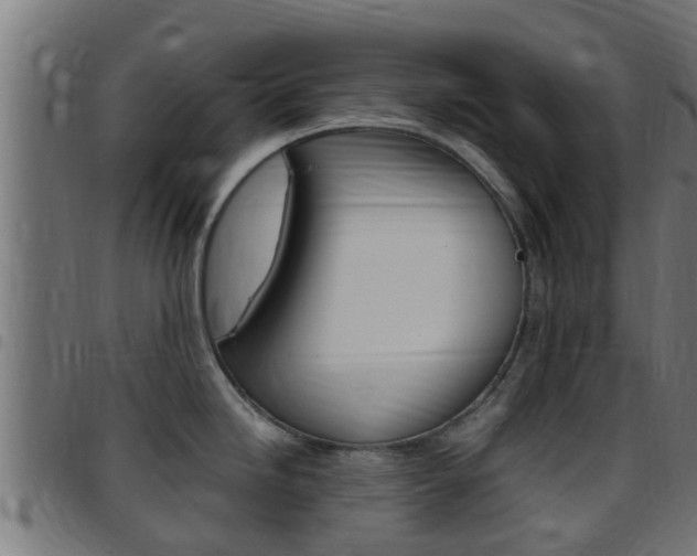 X0000097791246200803070928