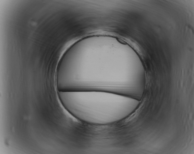 X0000097791247200803070928
