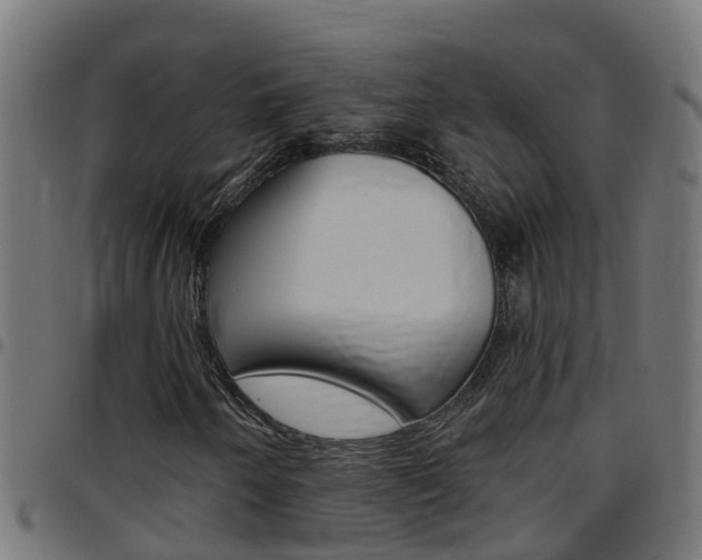 X0000097791250200803070927