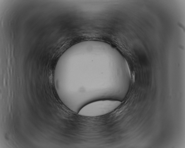 X0000097791251200803070927