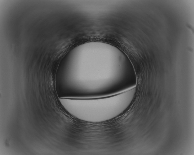 X0000097791252200803070927