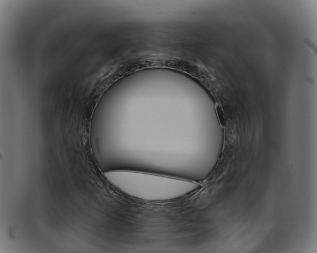 X0000097791253200803070927