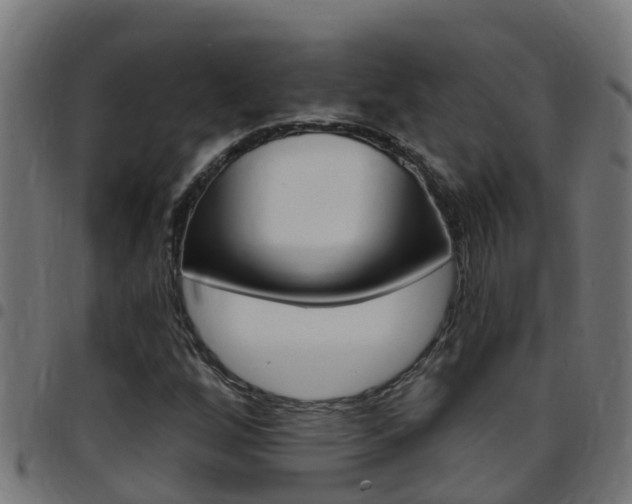 X0000097791256200803070927