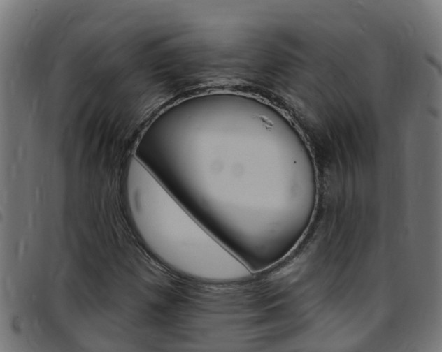 X0000097791257200803070927