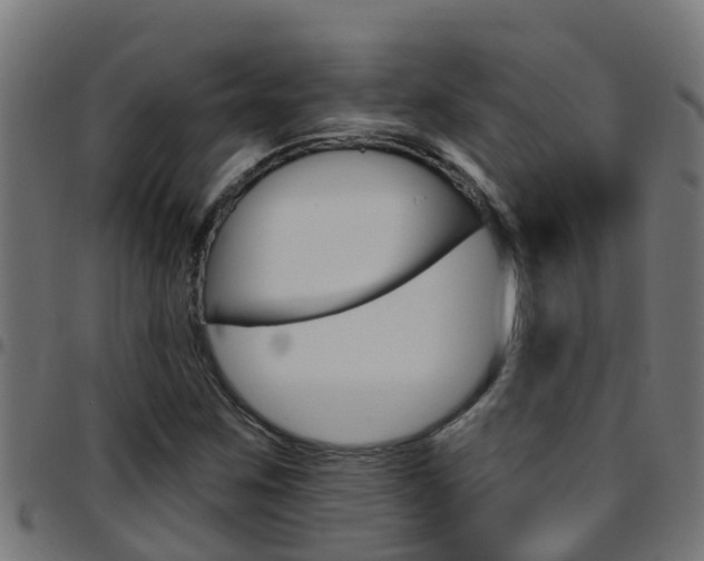 X0000097791259200803070927