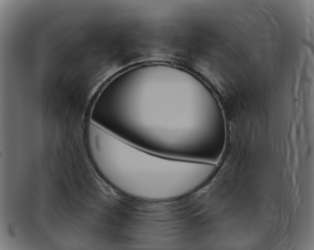 X0000097791260200803070927