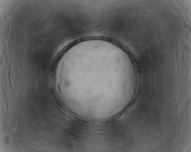 X0000097791262200803070927