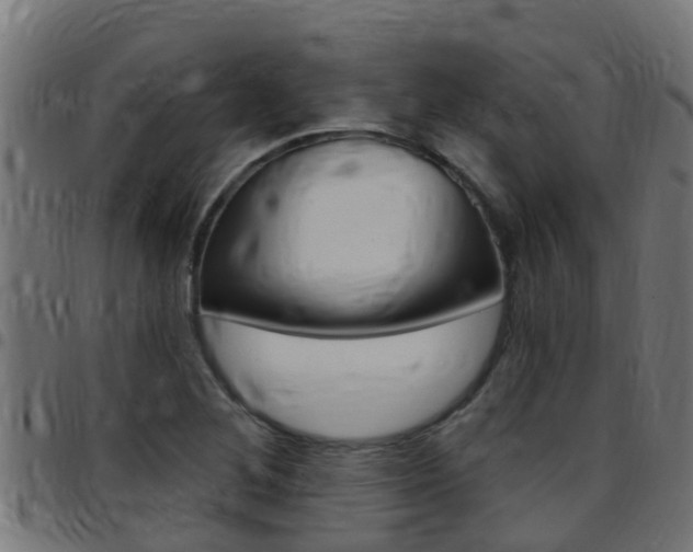 X0000097791268200803070927