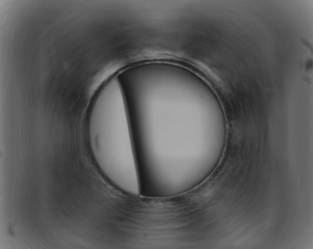 X0000097791269200803070927